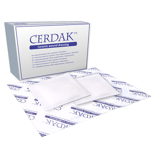 Cerdak 5x5cm Basic Wound Dressing 10~