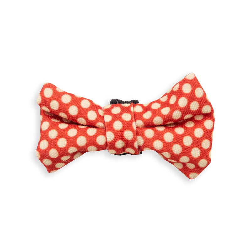 Bow Tie Polka Dots Red - Shopping4Africa