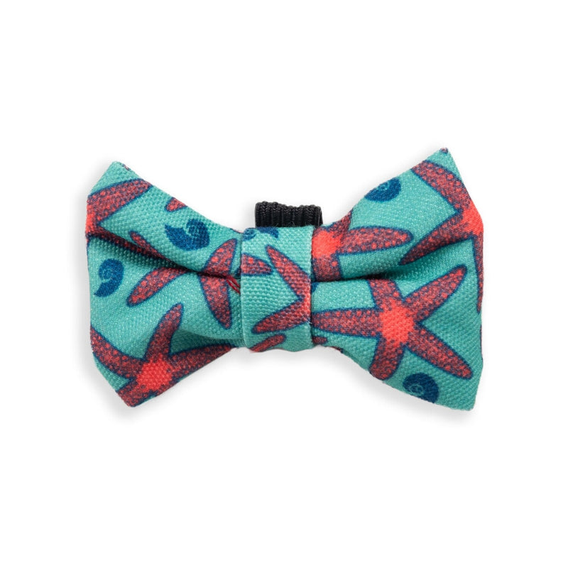 Bow Tie Star Fish Green - Shopping4Africa
