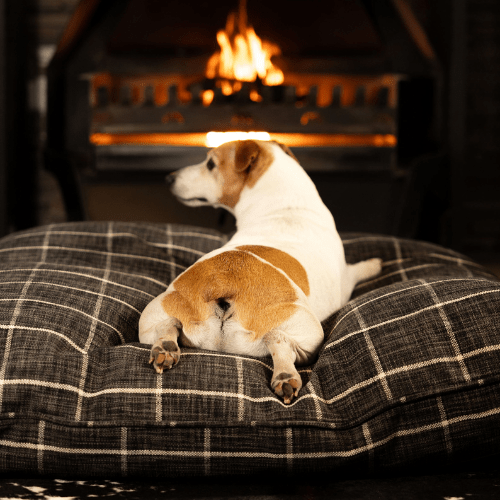 Canine Cloud - Indoor Napper (100x100cm) Dog Bed - Shopping4Africa