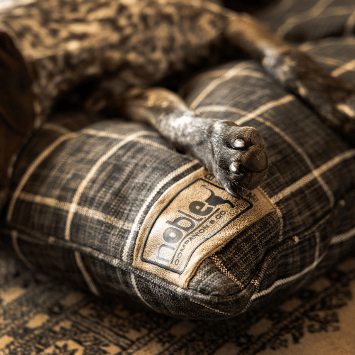 Canine Cloud - Indoor Napper (100x100cm) Dog Bed - Shopping4Africa