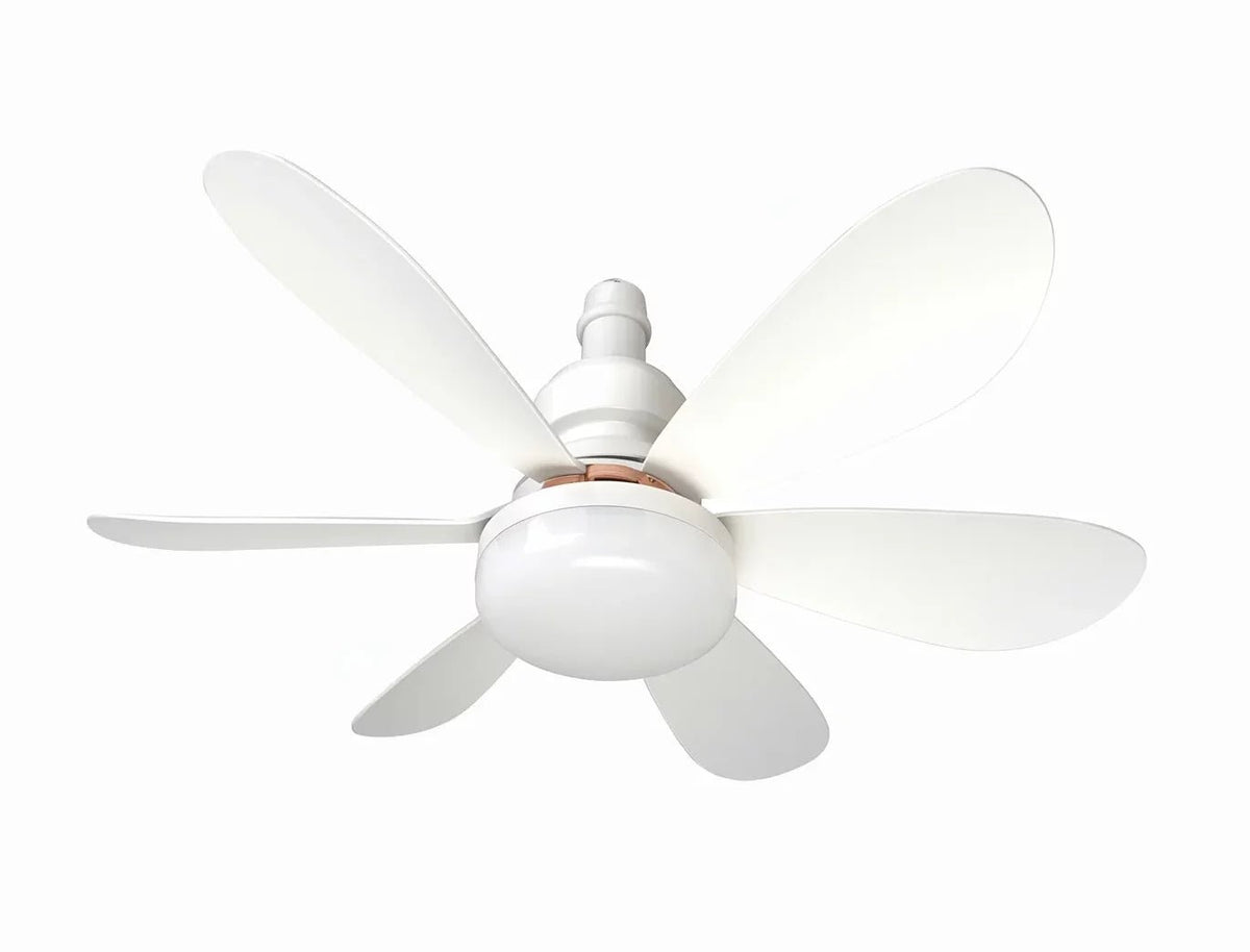 Goldair 20-inch (51cm) Socket Ceiling Fan with 1 Light GSCF-20 - Shopping4Africa