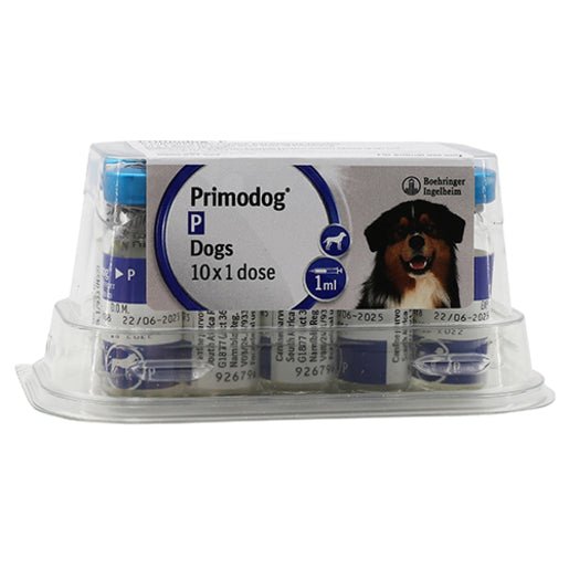 Primodog 10X1D @@ - Shopping4Africa