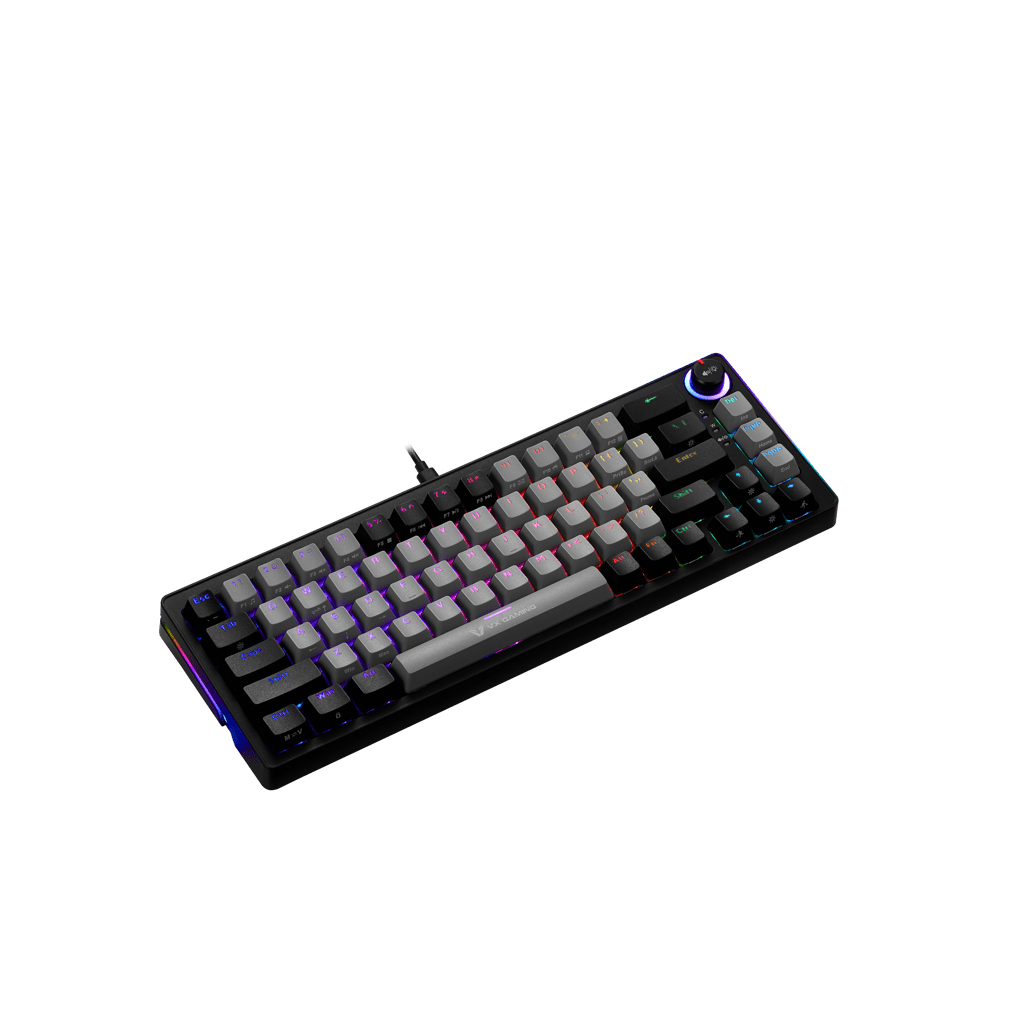 VX Gaming Sun - Wukong RGB Hot Swappable Mechanical Keyboard - Shopping4Africa