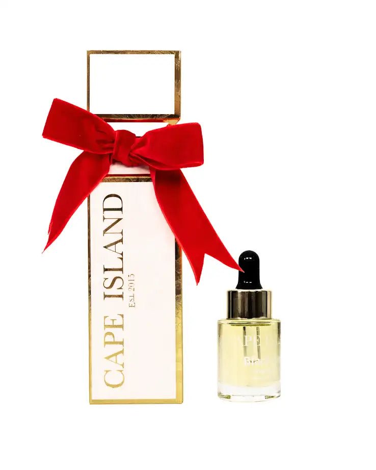 White Christmas Cracker & 30ml Fragrance Oil - Shopping4Africa