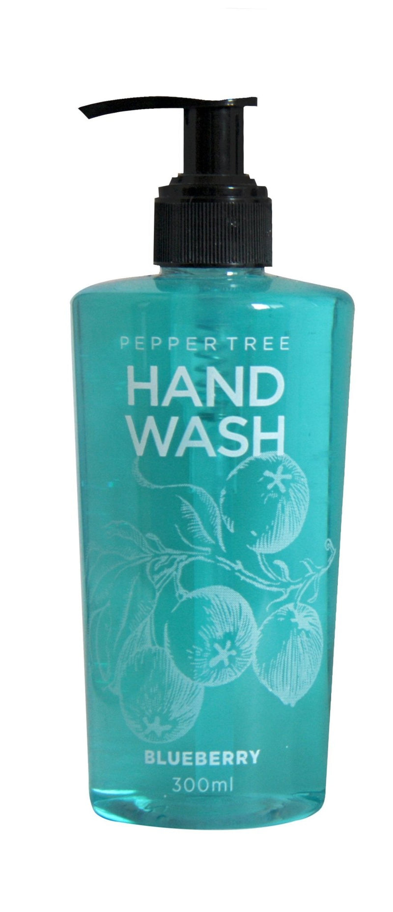 Fruity Hand Wash - Blue Berry - Shopping4Africa