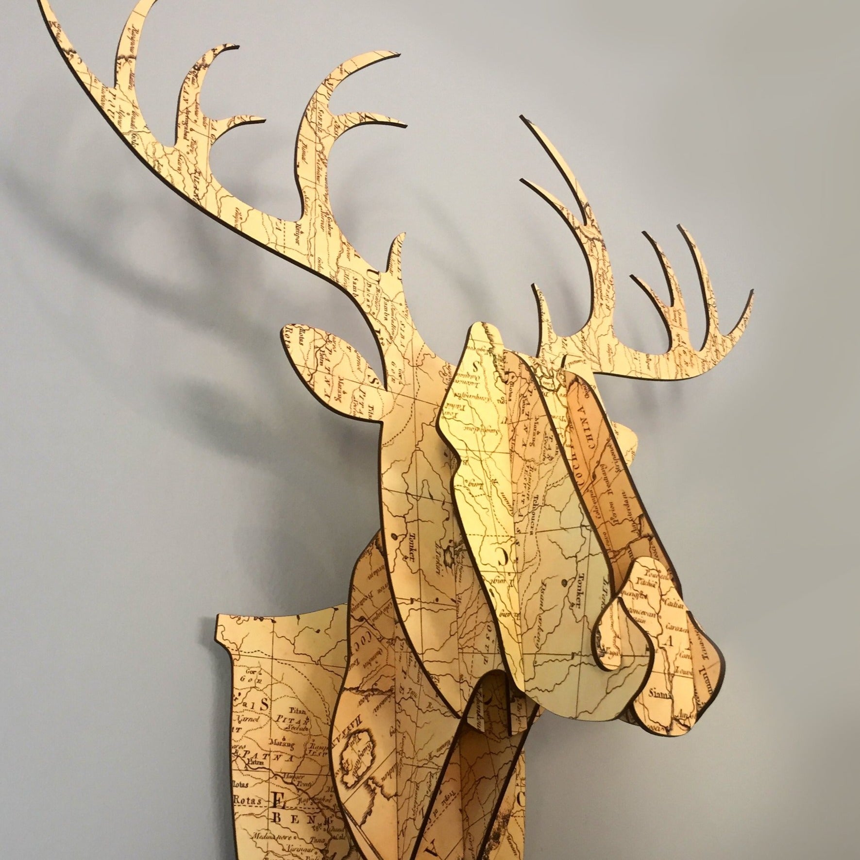 3D Stag Head - Patterned - Shopping4Africa