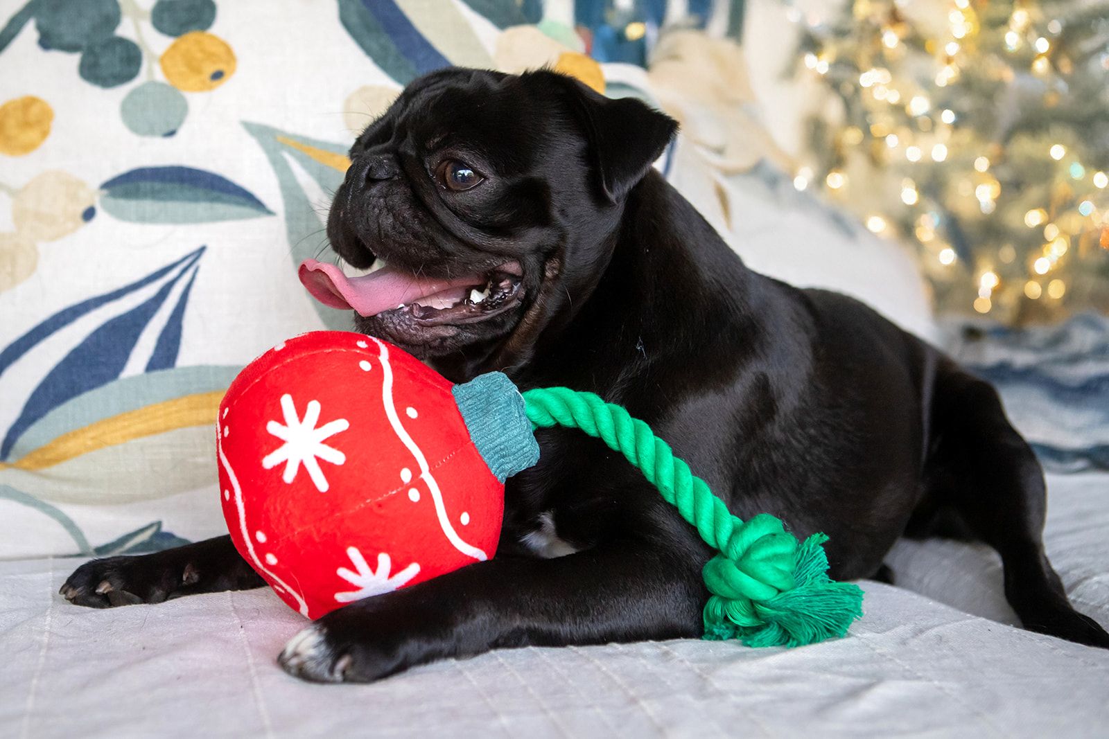 Festive Ornament Dog Toy 35cm