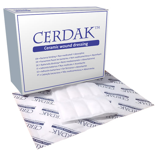 Cerdak 10x10cm Basic Wound Dressing 10~