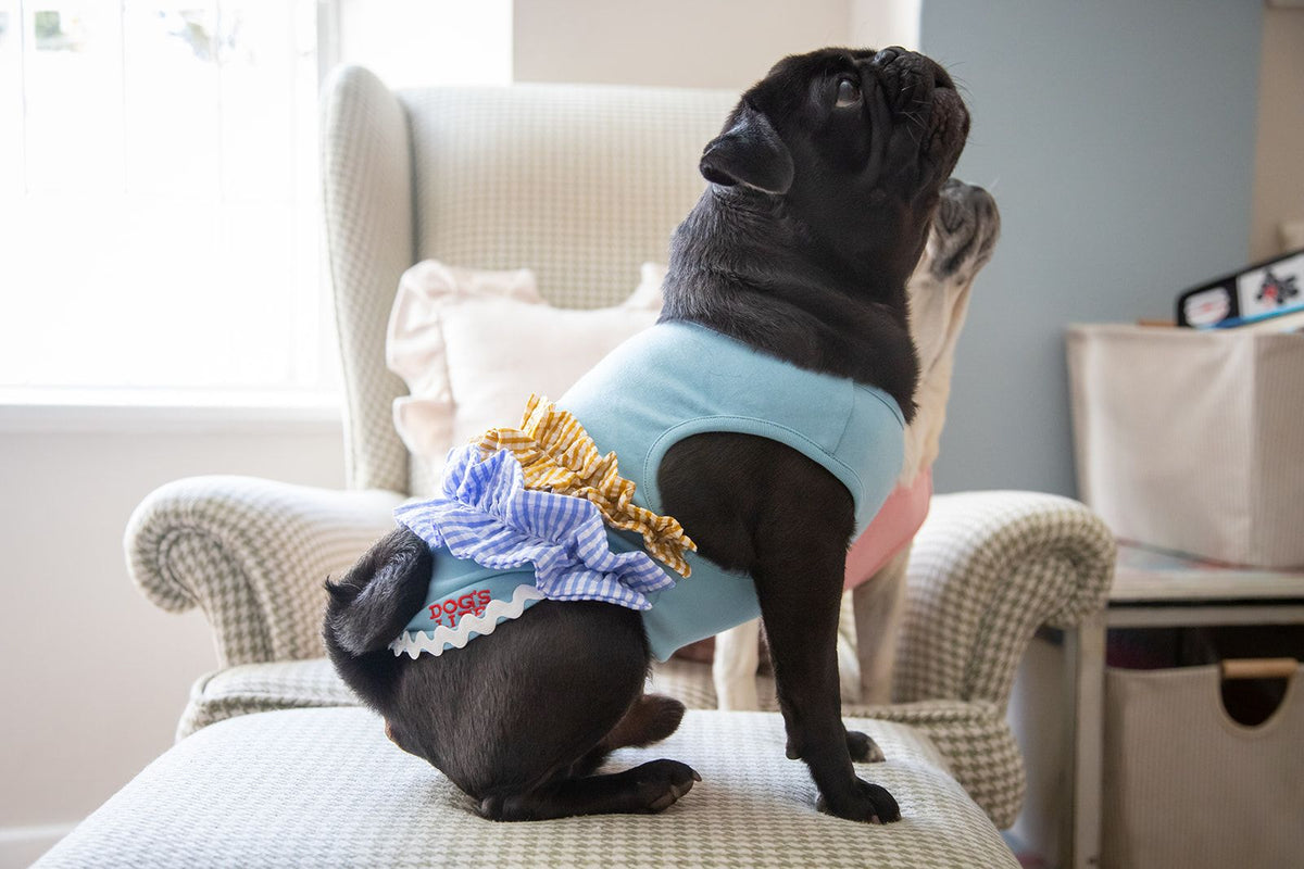 Dog's Life Summer Ruffles Tee Blue