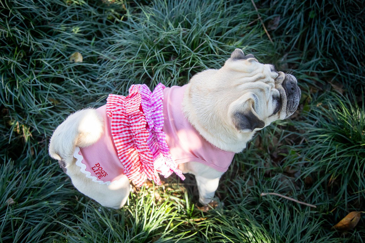 Dog's Life Summer Ruffles Tee Pink