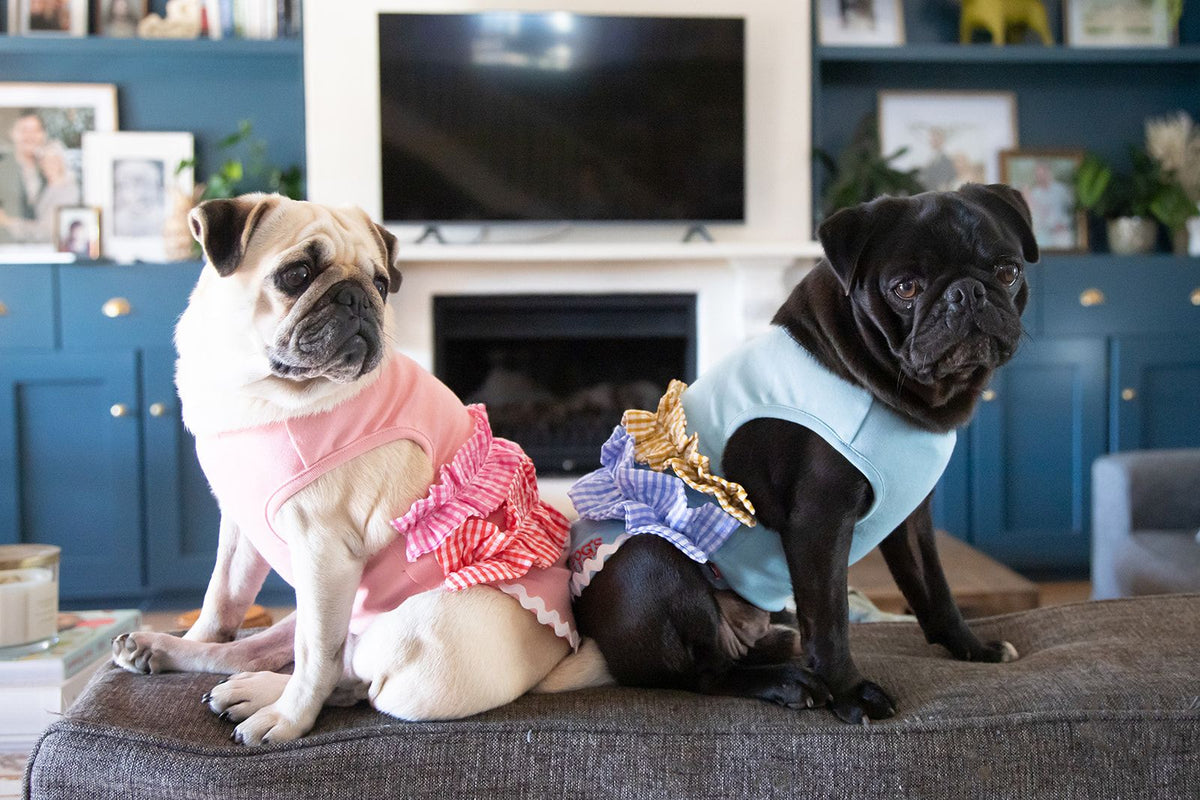 Dog's Life Summer Ruffles Tee Pink