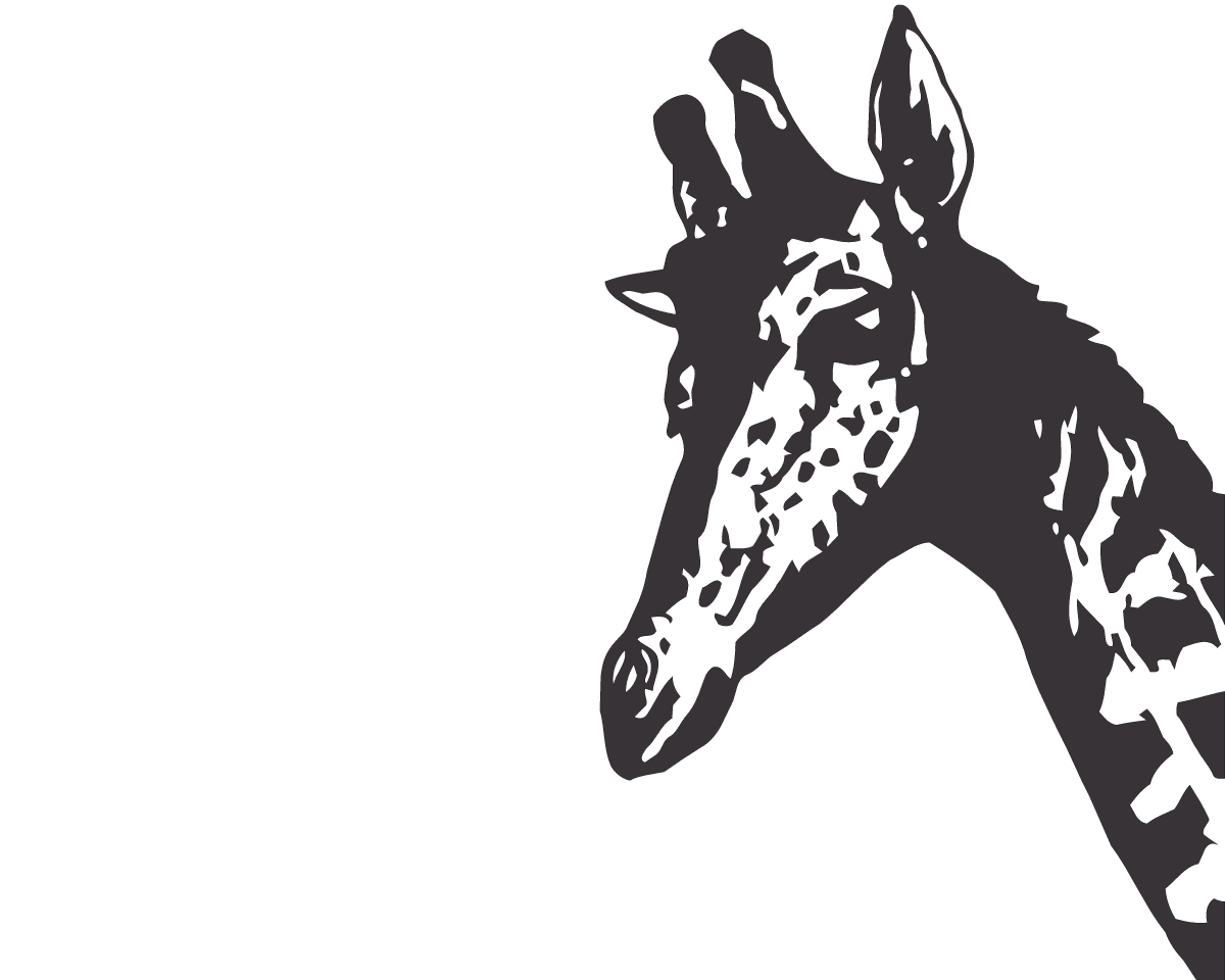 Giraffe - vinyl wall sticker