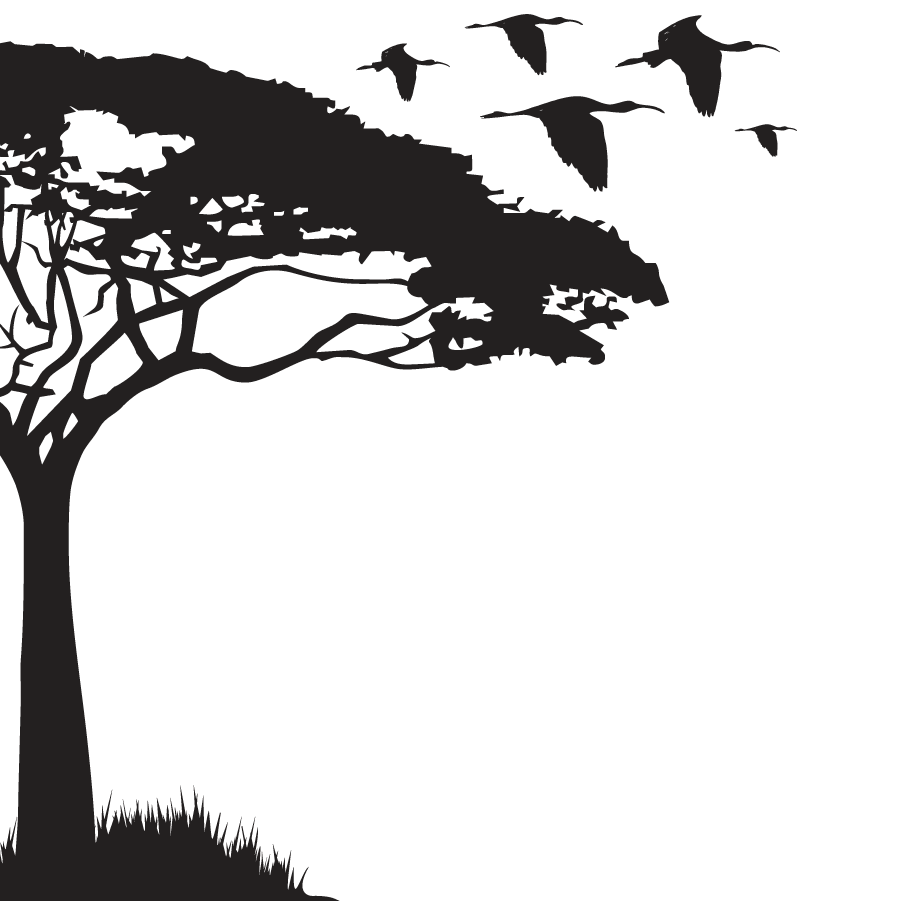 Acacia Half Tree - vinyl wall sticker