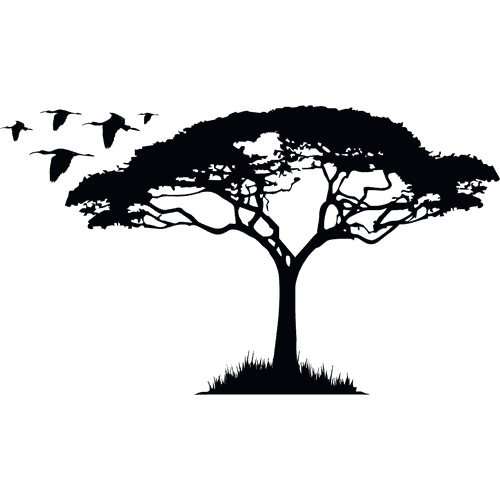 Acacia tree - vinyl wall sticker