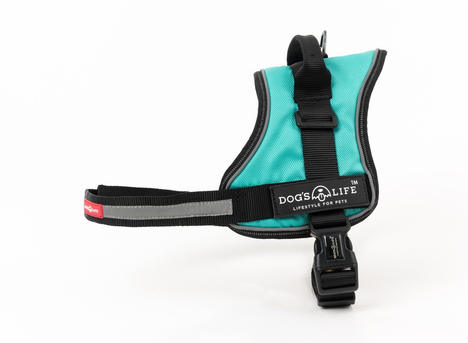 Active No Pull Control Handle Harness Turquoise - Shopping4Africa