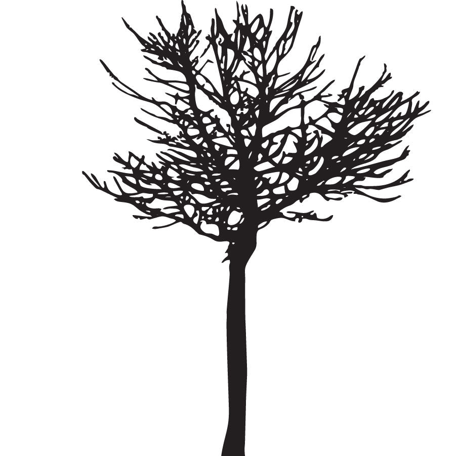 Branch Tree - vinyl wall sticker - Shopping4Africa