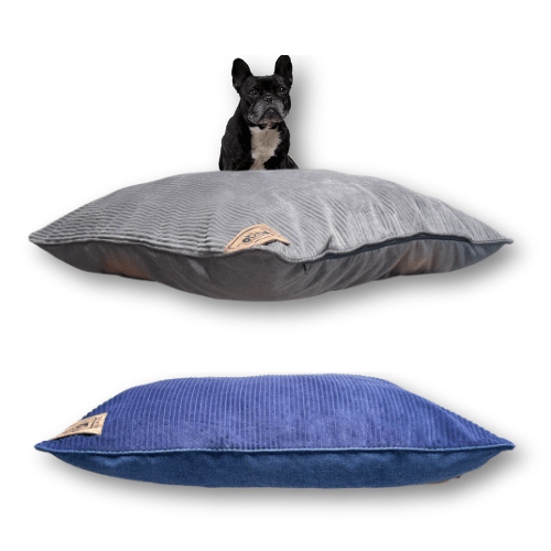 Canine Cloud - Indoor Napper (100x100cm) Dog Bed - Shopping4Africa