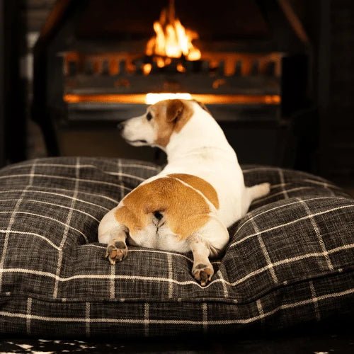 Canine Cloud - Indoor Napper (70cm x70cm) Dog Bed - Shopping4Africa