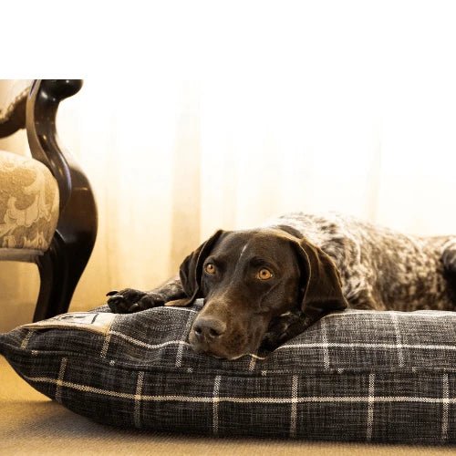 Canine Cloud - Indoor Napper (70cm x70cm) Dog Bed - Shopping4Africa