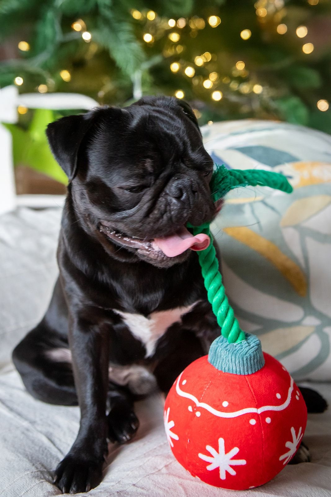 Festive Ornament Dog Toy 35cm - Shopping4Africa