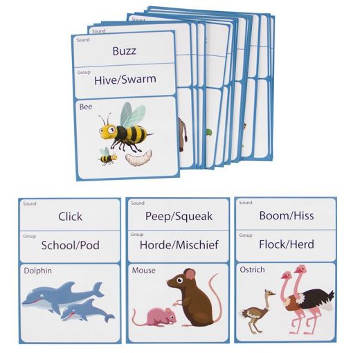 Flash Cards (A6) - Animal Families (24pc) D/Sided - Shopping4Africa