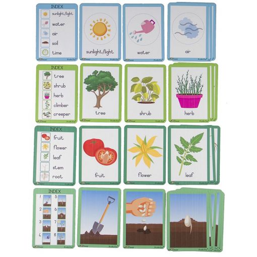 Flash Cards (A6) - Growing Things: Plants (27pc) - Shopping4Africa