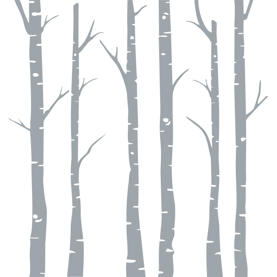 Frosted Birch Forest - vinyl glass stickers