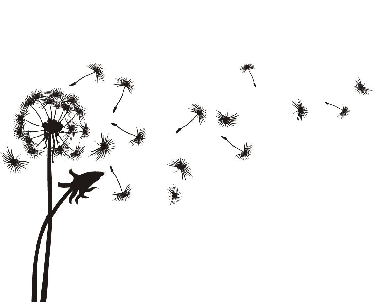 Giant Dandelion Black & White - vinyl wall art - Shopping4Africa