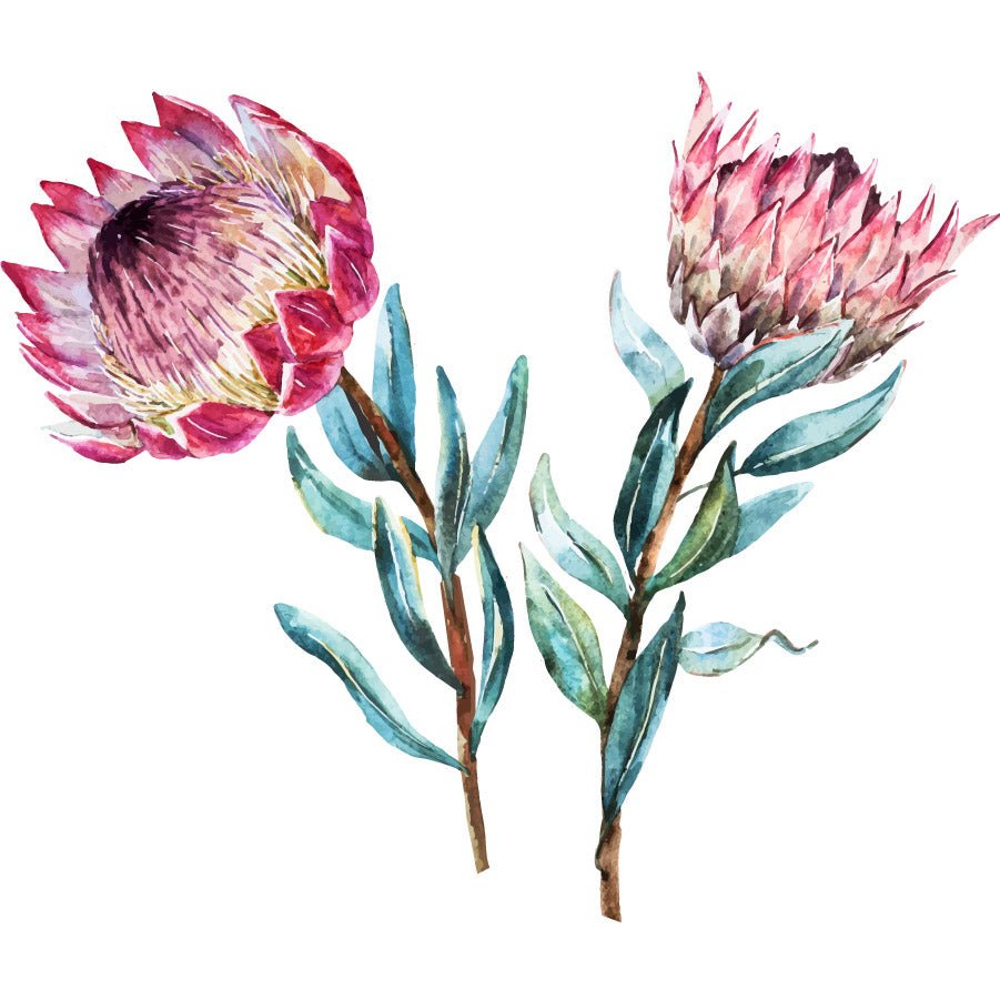 Giant Proteas - vinyl wall stickers - Shopping4Africa