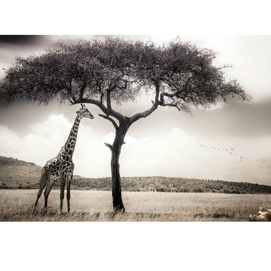 Giraffe Safari Mural - Shopping4Africa