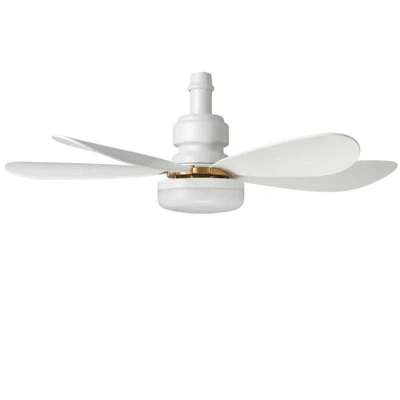 Goldair 20-inch (51cm) Socket Ceiling Fan with 1 Light GSCF-20 - Shopping4Africa