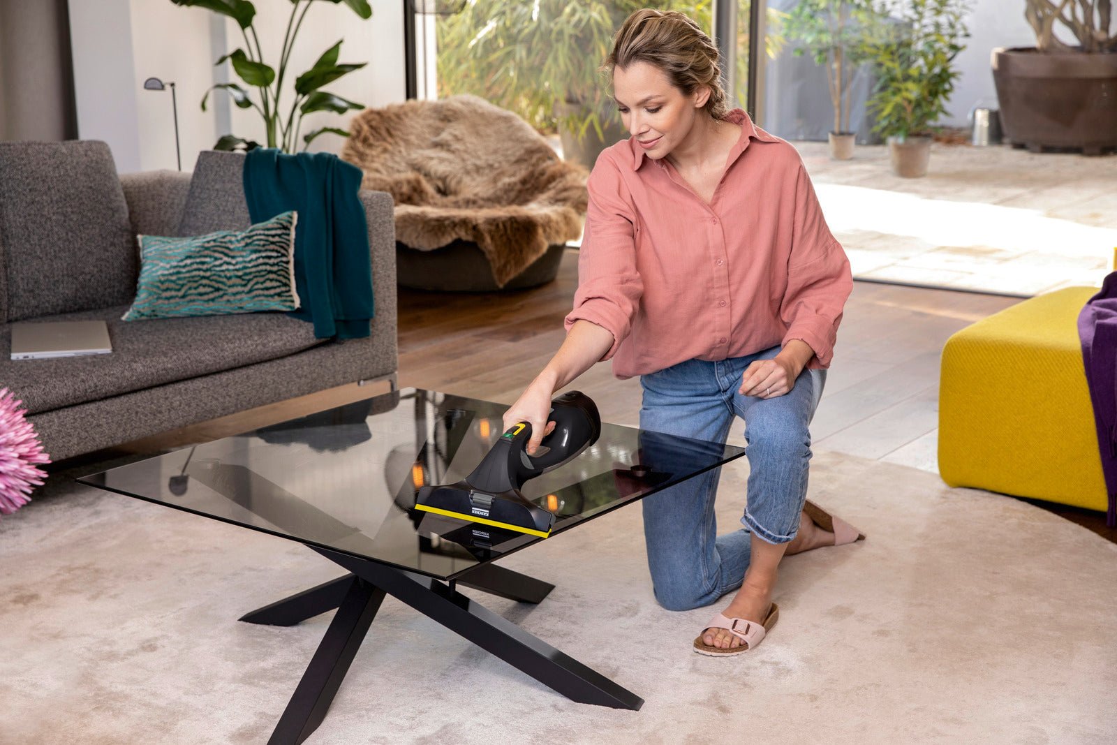 Kärcher WV 5 Plus Anniversary Edition Window Vacuum Glass Cleaner - Shopping4Africa