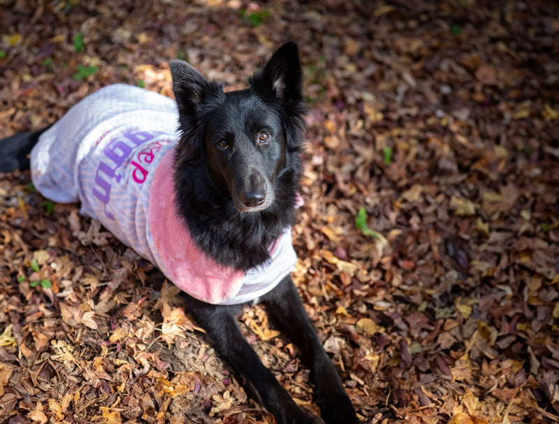 Keep Waggin Cape Pink - Shopping4Africa