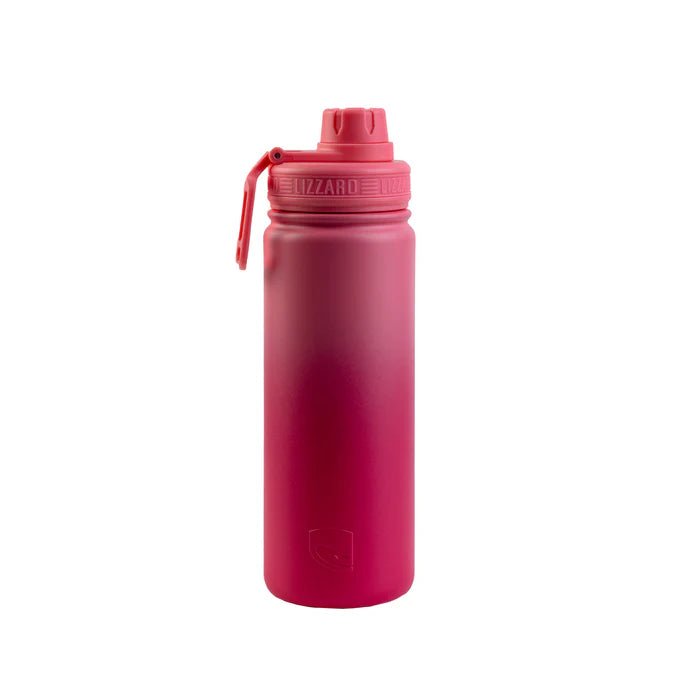 Lizzard Flask - 530ml - Shopping4Africa