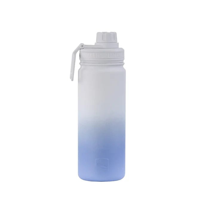 Lizzard Flask - 530ml - Shopping4Africa