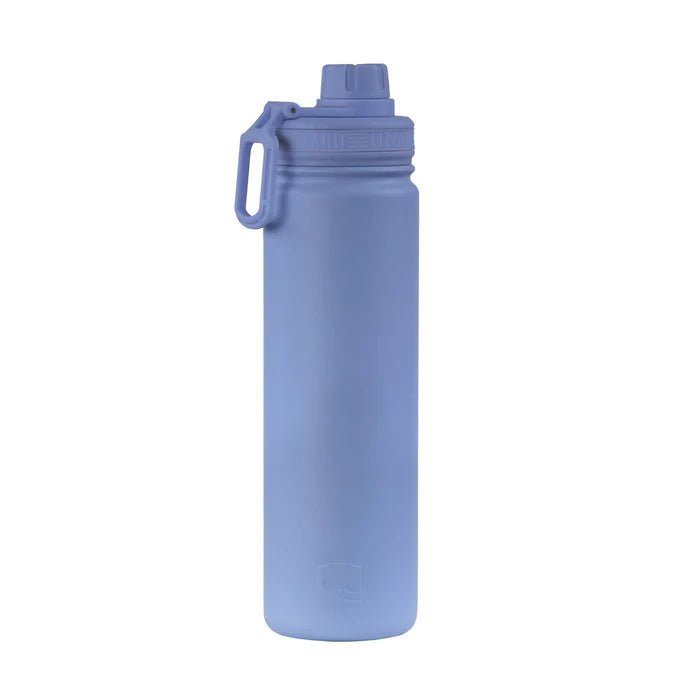 Lizzard Flask - 650ml - Shopping4Africa