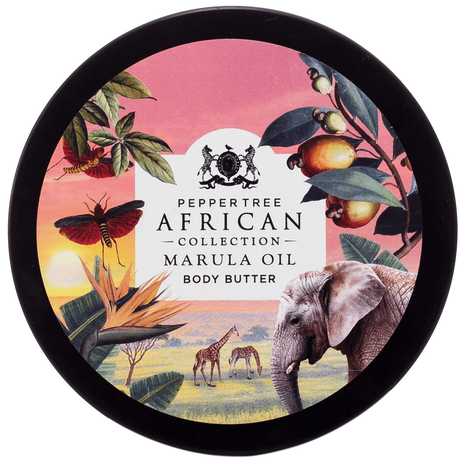 Marula Body Butter 250 ml - Shopping4Africa