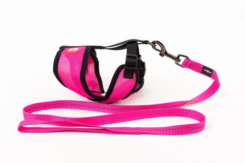 Mini Soft Harness for Cats with Velcro & Leash - Choose Colour/Size - Shopping4Africa