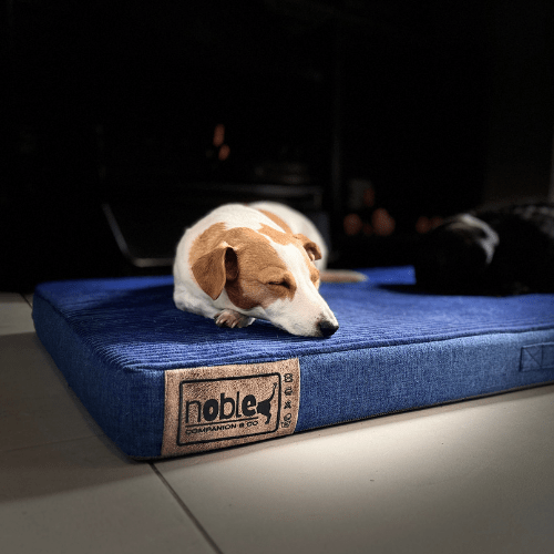 Noble Napper (Indoor) Dog Bed - Shopping4Africa