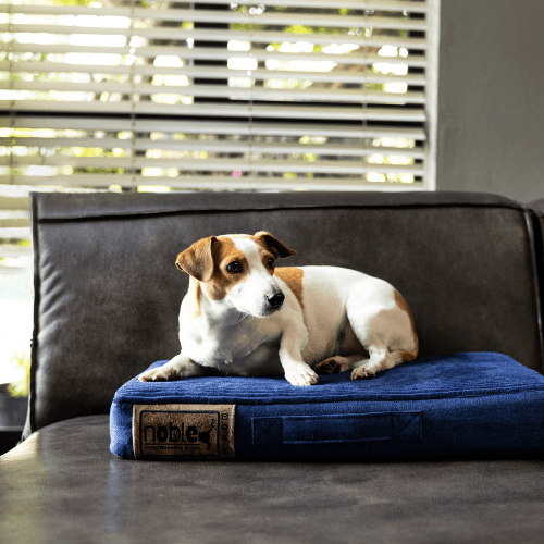 Noble Napper (Indoor) Dog Bed - Shopping4Africa