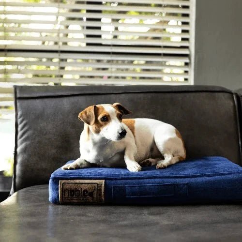 Noble Napper (Indoor) Dog Bed - Blue-Grey - Shopping4Africa