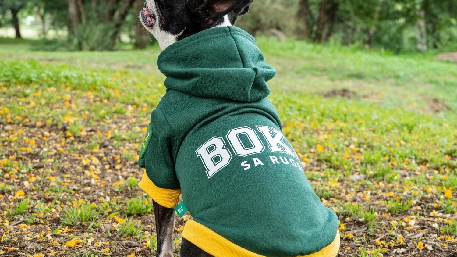 Official Boks Rugby Hoodie - Shopping4Africa