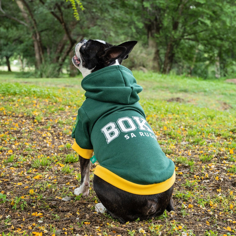 Official Boks Rugby Hoodie - Shopping4Africa