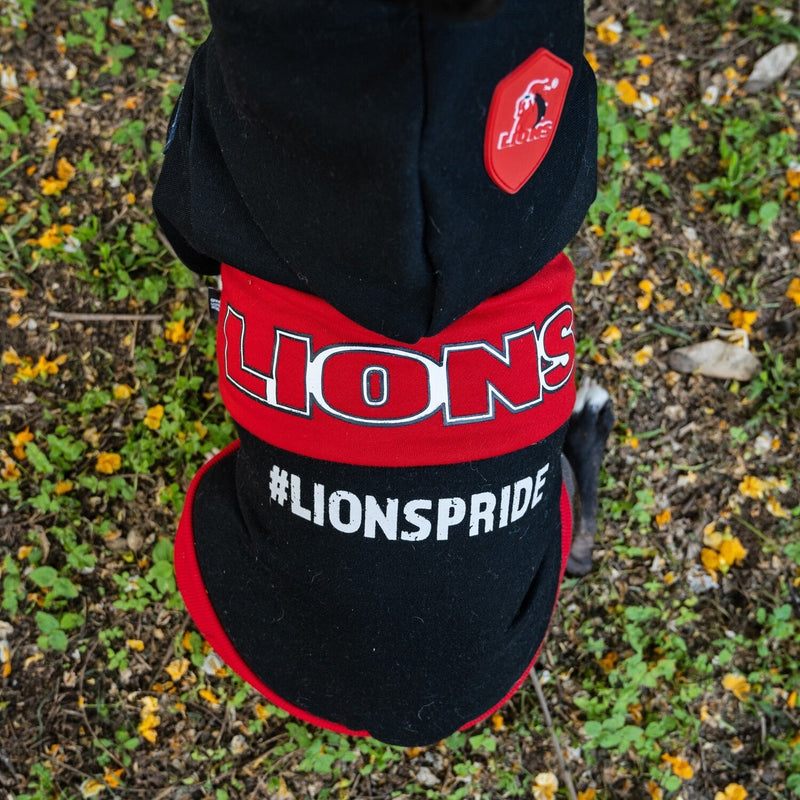 Official Lions Pride Rugby Hoodie - Shopping4Africa