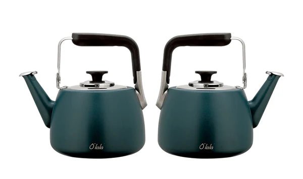 Olala Stainless Steel 1 L Whistling Stove Top Kettle - Matt Teal Finish - Shopping4Africa