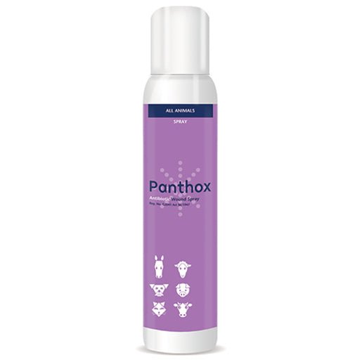 Panthox Wound Spray 200ml - Shopping4Africa