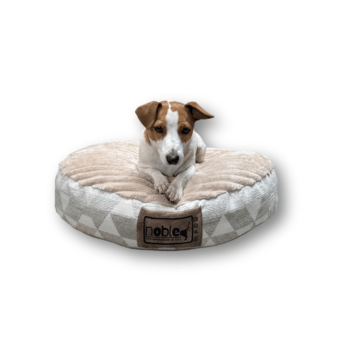 Snugga Poof no Hood Dog Bed - Large 1m - Shopping4Africa