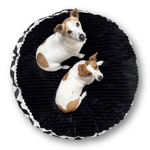 Snugga Poof no Hood Dog Bed - Large 1m - Shopping4Africa