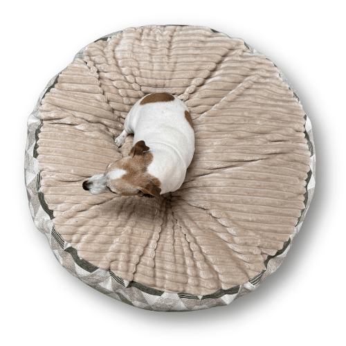 Snugga Poof no Hood Dog Bed - Large 1m - Shopping4Africa